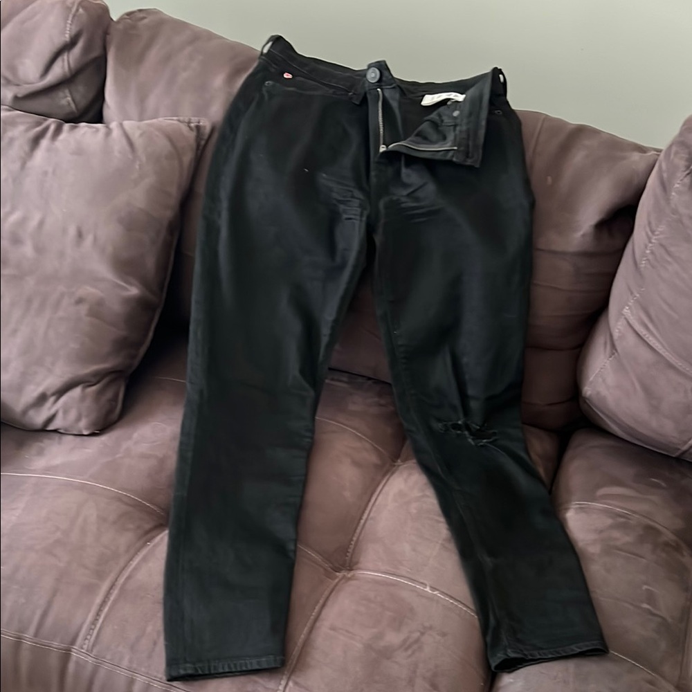 Hudson Jeans Black Skinny Fit Denim